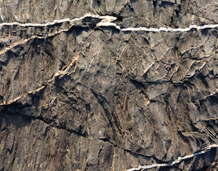 Part of rock close up.