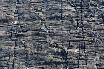 Part of rock close up.