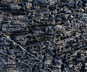 Part of rock close up.