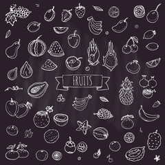 Hand drawn doodle fruits icons set Vector illustration seasonal fruits symbols collection Cartoon different kinds of fruits Various types of tropical fruits on white background Sketch style Fruit eps