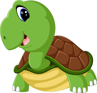 cute turtle cartoon