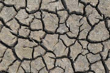 Cracked earth and dry soil texture.