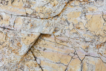 Part of rock close up.