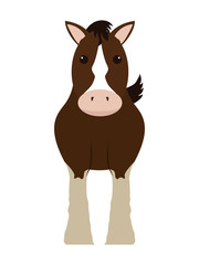 Animal concept. Horse  icon. vector graphic