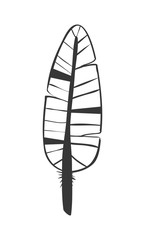 Bohemic draw concept. Feather icon. vector graphic