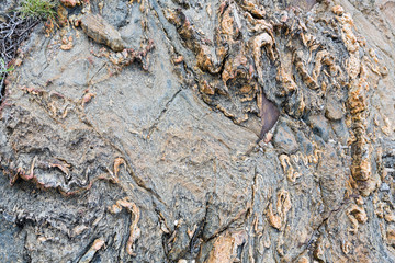 Part of rock close up.