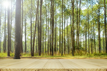 Forest picnic background.