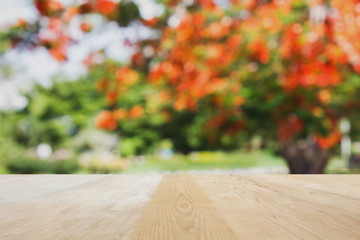 Blank area or space table top on bokeh blossom flowers tree in the  park