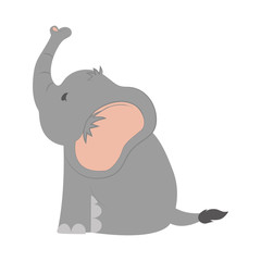Cute animal design. elephant icon. vector graphic