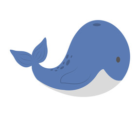 Cute animal design. Whale icon. vector graphic