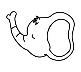 Cute animal design. elephant icon. vector graphic