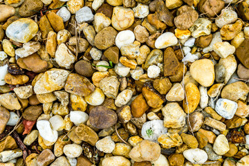 Pebble Abstract Background
