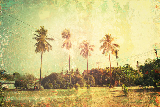 Tropical Background Wild Thailand Palm Trees Shabby Effect