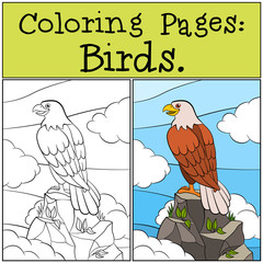 Fototapeta premium Coloring Pages: Wild Birds. Cute bold eagle sits on the rock and smiles