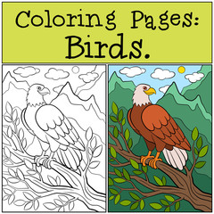 Naklejka premium Coloring Pages: Wild Birds. Cute bold eagle sits and smiles.