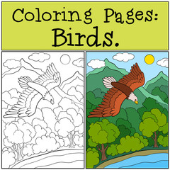 Coloring Pages: Wild Birds. Cute bold eagle flying.
