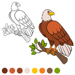 Coloring page. Color me: eagle. Cute eagle sits and smiles.