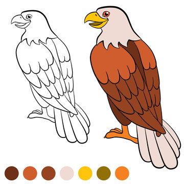 Coloring page. Color me: eagle. Cute eagle sits and smiles.