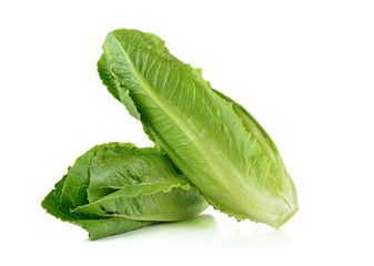 Romain lettuce isolated on a white background