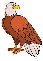 Obraz premium Cartoon birds for kids: Eagle. Cute eagle smiles.