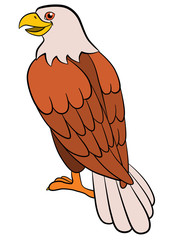 Cartoon birds for kids: Eagle. Cute bald eagle smiles.