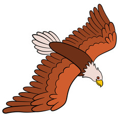 Obraz premium Cartoon birds for kids: Eagle. Cute bald eagle flying.
