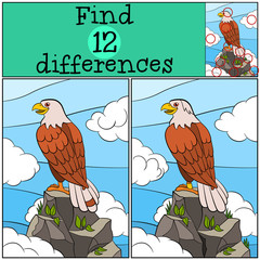 Obraz premium Children games: Find differences. Cute bald eagle sits on the rock