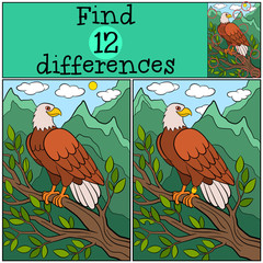 Children games: Find differences. Cute bald eagle sits on the tree branch