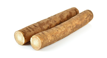 Fresh Burdock roots on white background