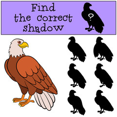 Fototapeta premium Children games: Find the correct shadow. Cute bald eagle smiles.