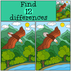 Naklejka premium Children games: Find differences. Cute bald eagle flying under the forest