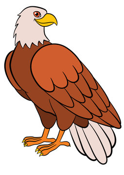 Cartoon birds for kids: Eagle. Cute eagle smiles.