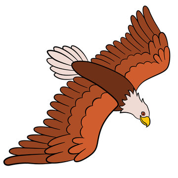 recommend clip art: Cartoon birds for kids: Eagle. Cute bald eagle flying.