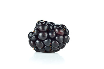fresh blackberry berry isolated on white