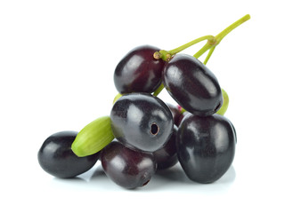 Jambolan plum or Java plum with stem on white background