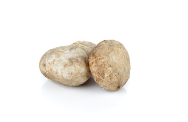 Mushrooms,Barometer Earthstars, hygroscopic earthstar, false ear