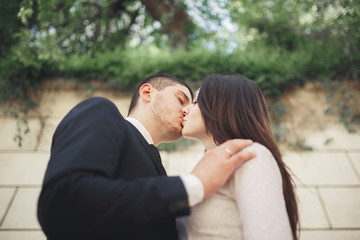 Wonderful luxury wedding couple posing near great wall