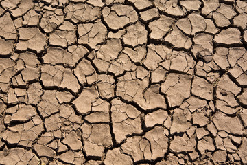 Texture of cracked ground