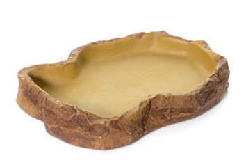 reptile watering hole