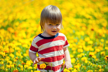 Little boy walking on the flowers lawn