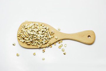 Millet. millet in wood spoon