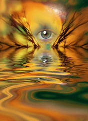 Eye
