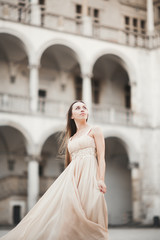 Beautiful girl, model with long hair posing in old castle near columns. Krakow Vavel