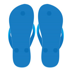 Slippers set of back view isolated on white background. Floor on blue slippers.