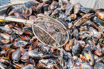 mussels cooked large