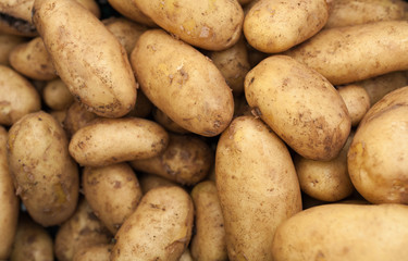 Organic potatoes on market