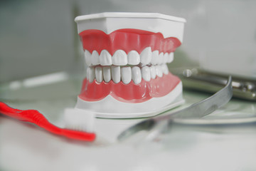 teeth layout for the dentist with a toothbrush. still life on the subject of dentistry and stomatology, 

odontology, medicine