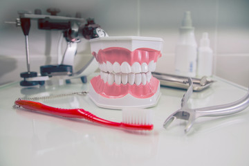 toothbrush, plastic dentures, dental instruments, objects of still life on the theme of dentistry