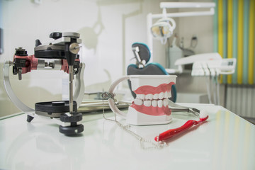 toothbrush, plastic dentures, dental instruments, objects of still life on the theme of dentistry