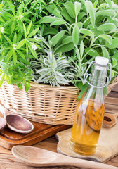 Kräuter und Öl